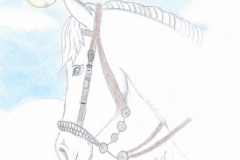 #IOSONOSTATOACASA - Disegno di Teresa Sasso, 1A